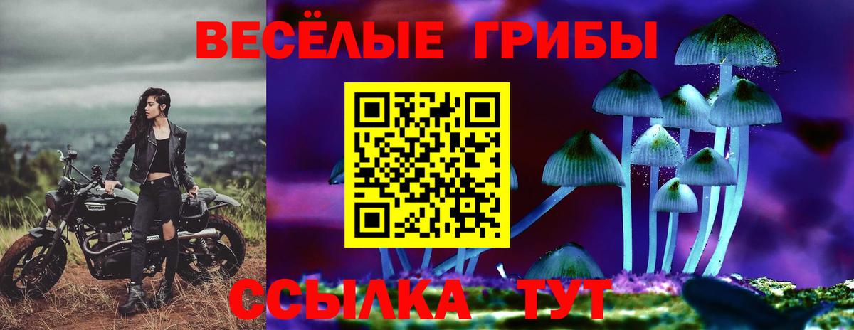 Слободской  Псилоцибиновые грибы MAGIC MUSHROOMS  закладка  Вход с VPN 