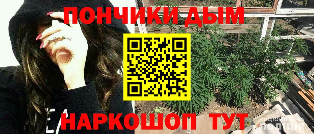 Бошки Шишки гибрид Слободской